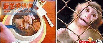 猴头：这里说的猴头绝不是食用菌猴头，而是真正的猴脑。一个中间挖洞的方桌，几个人围桌而坐，中间的洞并 .